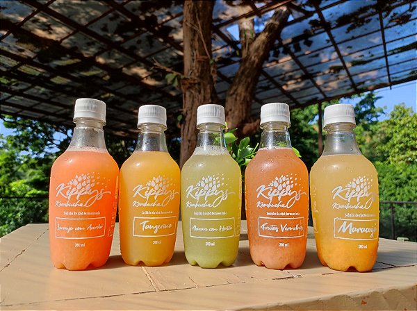 Kombucha - Chá fermentado probiótico - bebida gaseificada naturalmente - kit 30 unidades de 300ml cada | Kippys Natural