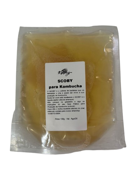 Guia prático da Kombucha + SCOBY - Faça Sua Kombucha Caseira com Facilidade | Kippys Natural