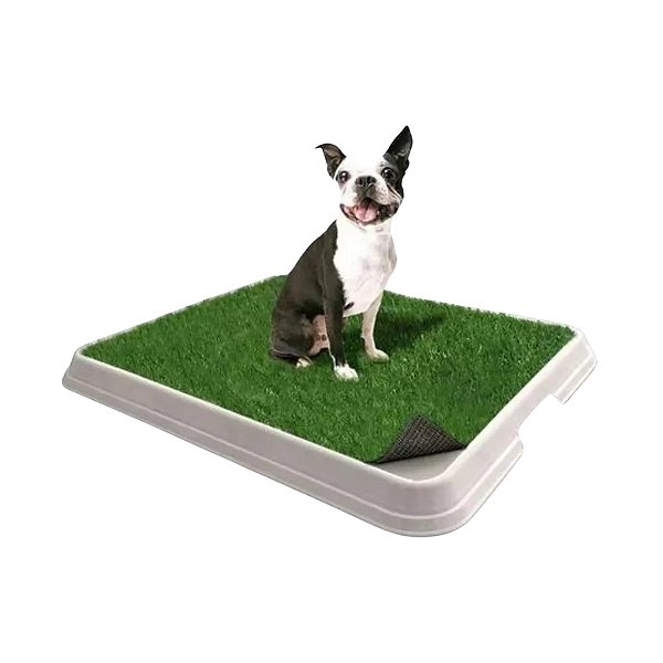 Tapete Higiênico de Grama Natural para Cães BrinqPet Lavável