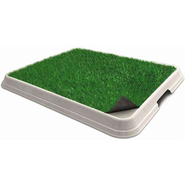 Tapete Higiênico de Grama Natural para Cães BrinqPet Lavável