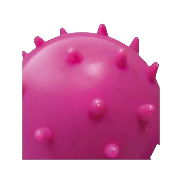 Brinquedo Pet Bola Maciça Mamona Tamanho 55mm para Cães