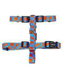 PEITORAL COKIE PEQ PORTE N 5