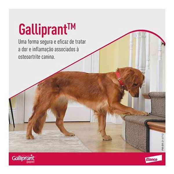 Anti-inflamatório para Cães Galliprant 100mg 30 Comprimidos