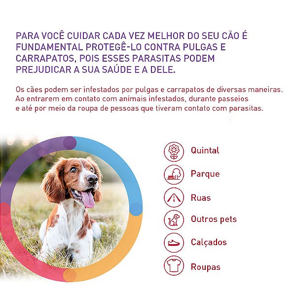 Antipulgas Bravecto Transdermal 1400mg Cães de 40kg à 56kg