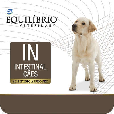 EQUILIBRIO VETERINARY CAES INTESTINAL