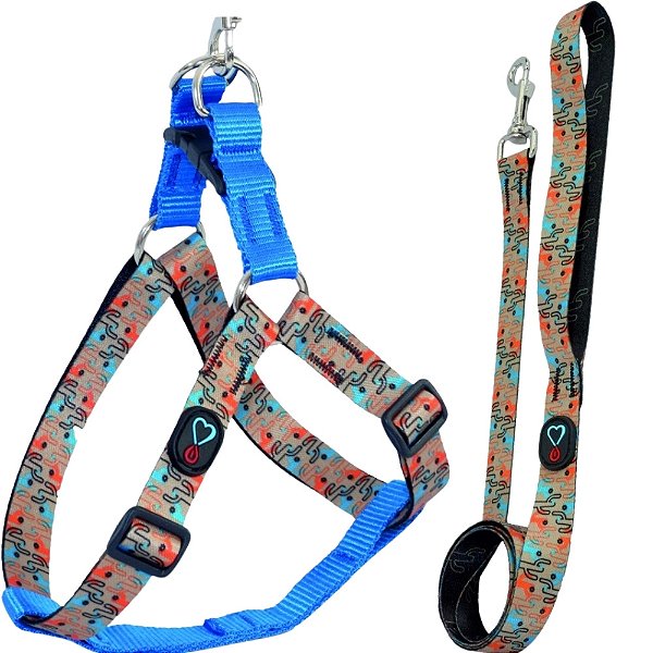Conjunto Coleira Peitoral e Guia para Cães Walking Cariri