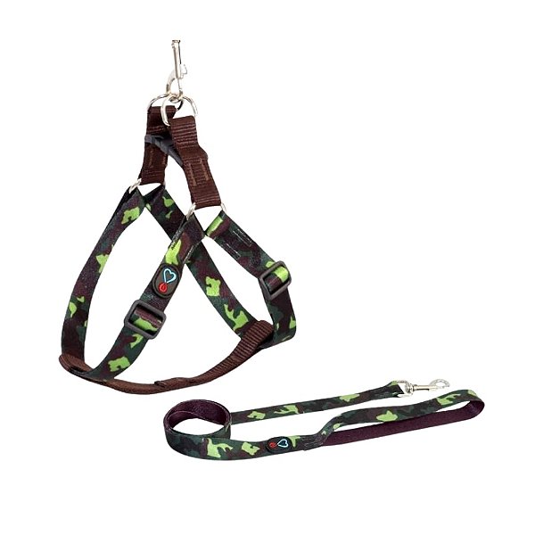 Conjunto Peitoral Walking Selva Ajustável Pequeno para Cães