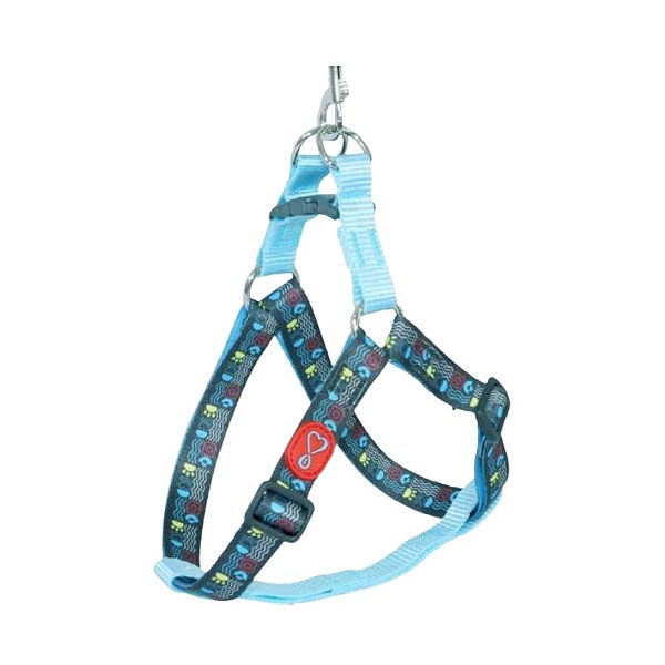 Conjunto Peitoral Walking Pescara Ajustável Grande para Cães