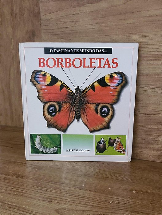 O fascinante mundo das Borboletas