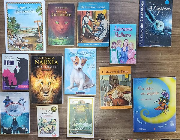 Lote - 13 livros infantis