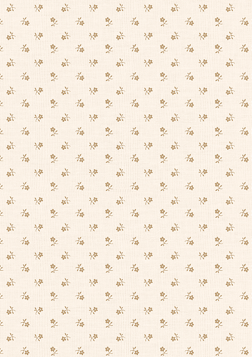 CR5003 - Petit Creme