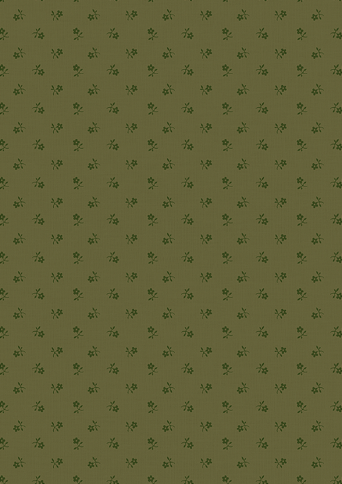 CR5005 - Petit Verde