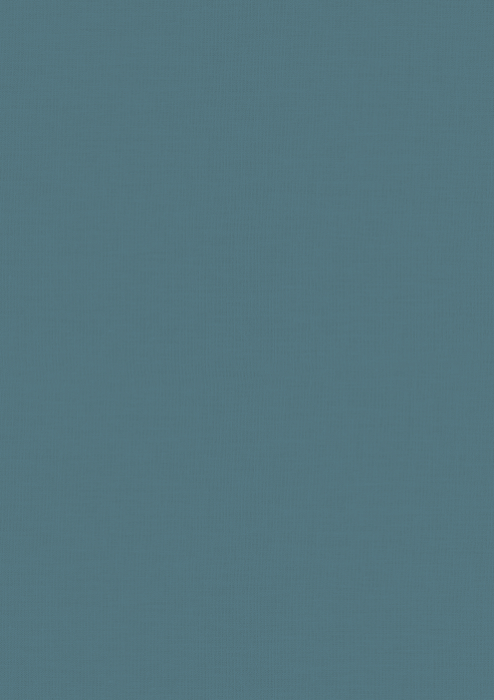 CRL001 - Liso Azul