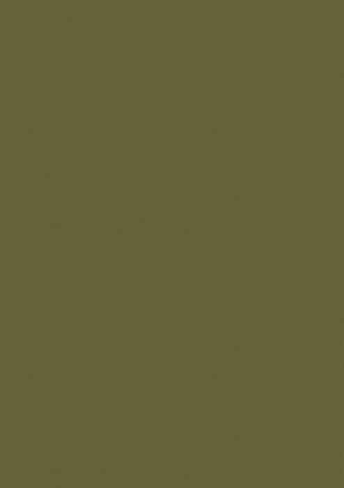 CRL005 - Liso Verde