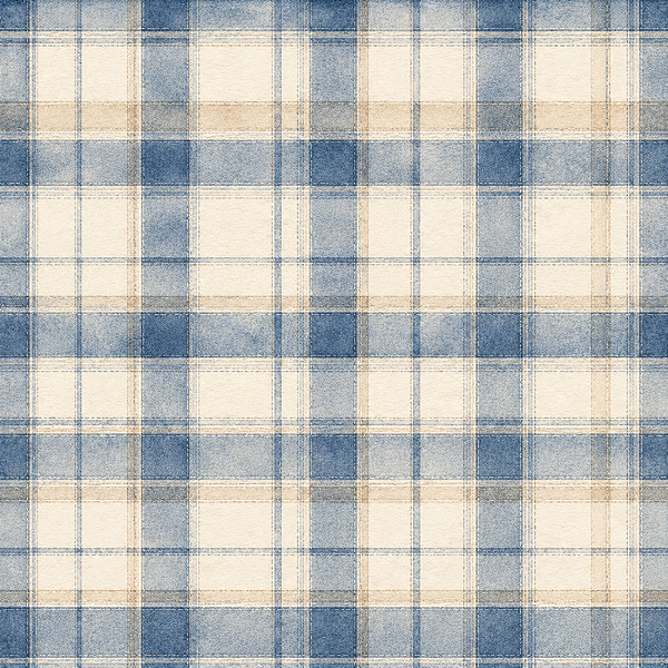 D2833 - Blue Coffee Tartan