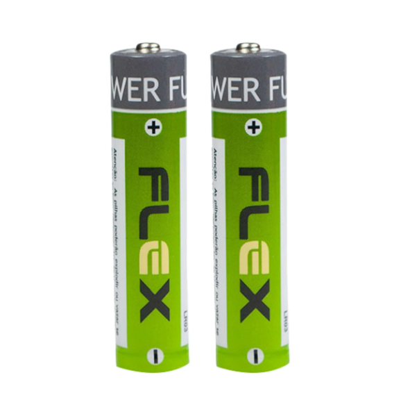 Pilha Recarregável AA 2700 mAh FLEX Blister com Duas Unidades - FX-AAK2