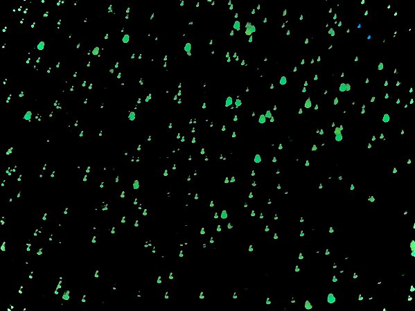 Luminous - Galaxy Black