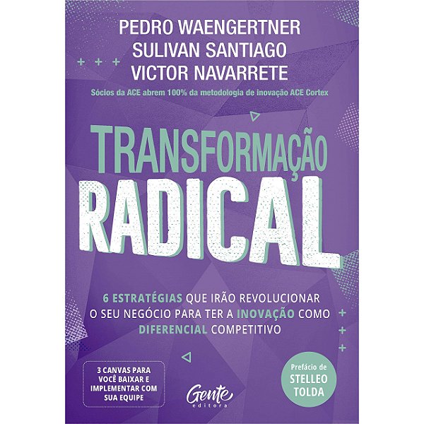 Livro Transformacao Radical: 6 Estrategias Que Irao Revolucionar o Seu Negocio pa - Waengertner/santiago