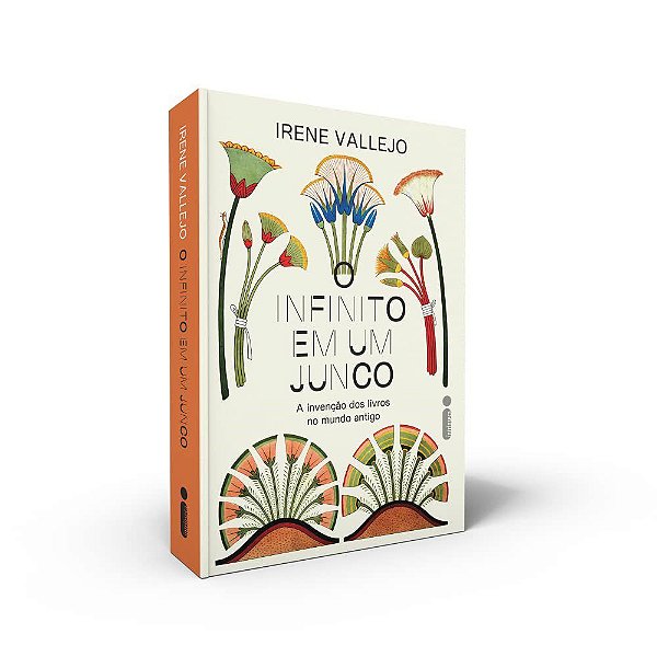 Infinito em Um Junco, O: a Invencao dos Livros No Mundo Antigo - Vallejo