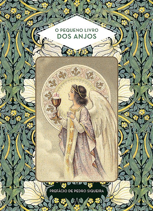 Livro Pequeno  dos Anjos, O - Masson