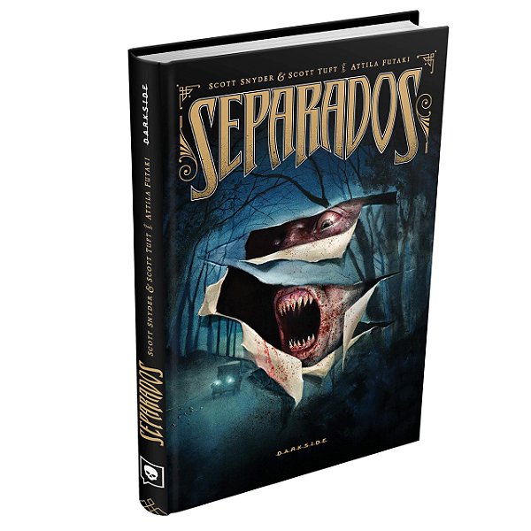 Livro Separados - Snyder - Darkside