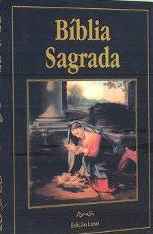 Livro Biblia Sagrada (edicao Luxo) - Figueiredo