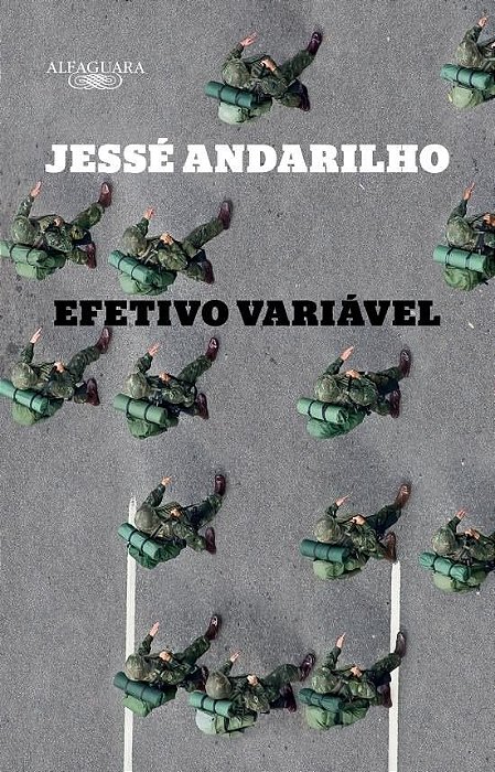 Livro Efetivo Variavel - Alfaguara