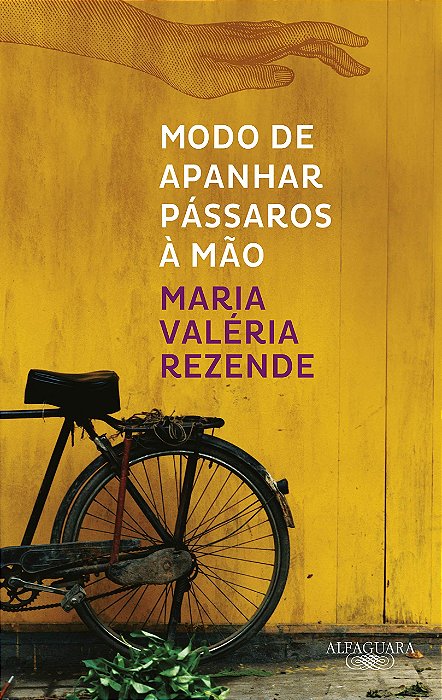 Livro Modo de Apanhar Pássaros à Mão - Rezende