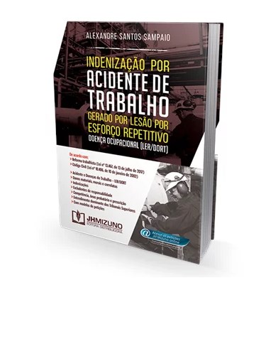 Livro Indenização por Acidente de Trabalho Gerado por Lesão por Esforço Repetitivo