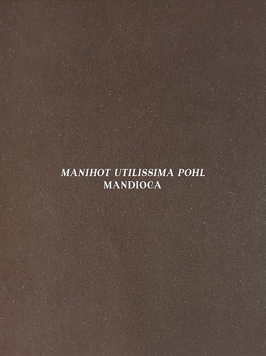 Livro Mandioca: Manihot Utilissima Pohl- Atala - Alaúde