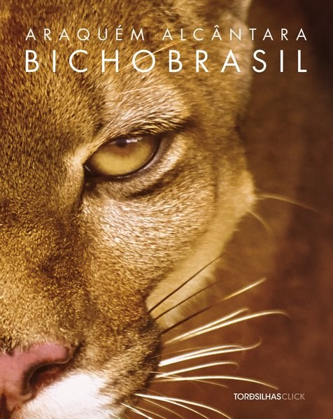 Livro Bicho Brasil - Alcântara - Tordesilhas