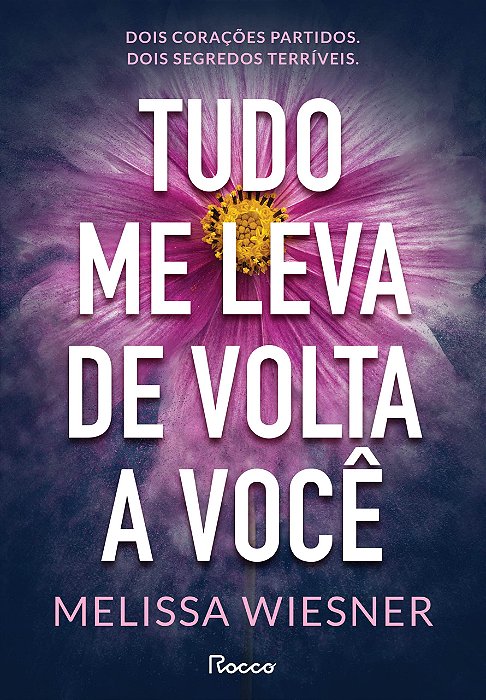 Livro Tudo me Leva de Volta a Você