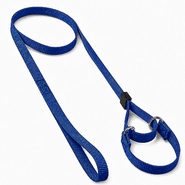 Guia Unificada Martingale
