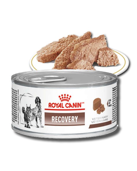 Kit 2 Recovery Lata Ração Royal Canin Cães e Gatos 195g no Shoptime