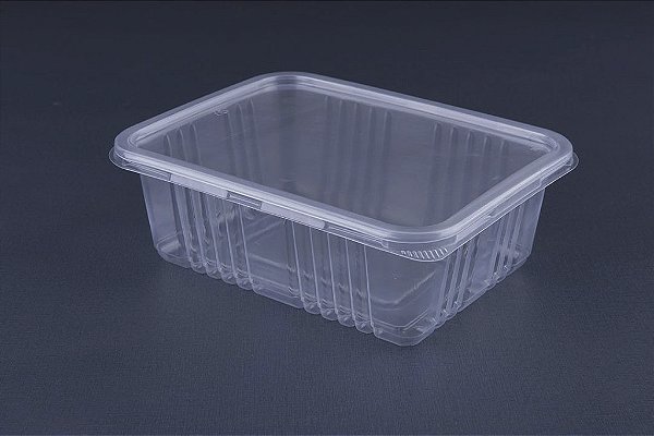 Embalagem Pote Freezer Microondas Galvanotek G 305 1.000ml - 10 Unidades