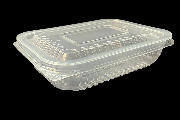 Embalagem pote freezer microondas 600ml PP3B Starpack - 200 unidades