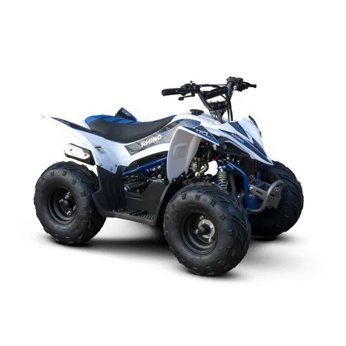 Mini Quadriciclo Rhino 110cc 4 Tempos Partida Elétrica