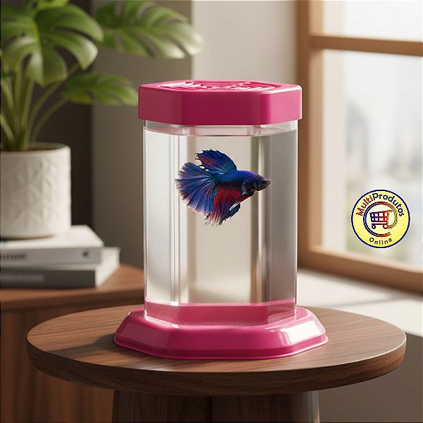 Aquario Beteira Sextavada para Peixe Beta – Ventilada, Segura e Compacta | MP Online