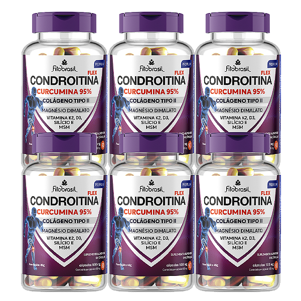 Condroitina flex (Condroitina, Colág. II, Curcumina, MSM e +) - kit com 6 frascos de 90 cáps - 400mg