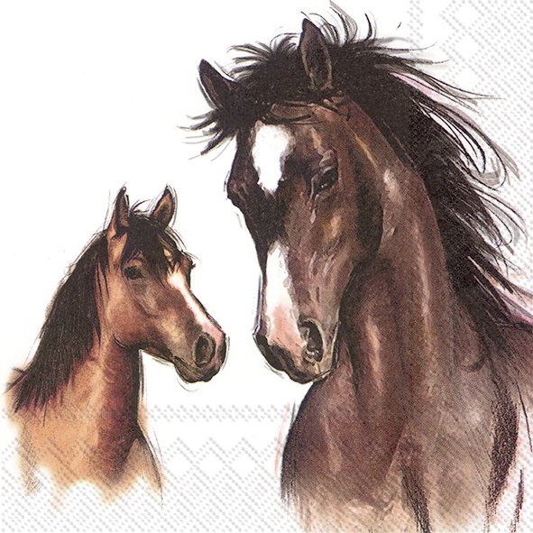 Guardanapo Unitario - Amy and Lucy