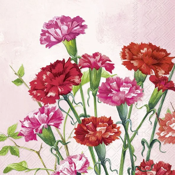 Guardanapos Unitarios para Decoupage - BUNCH OF CARNATIONS