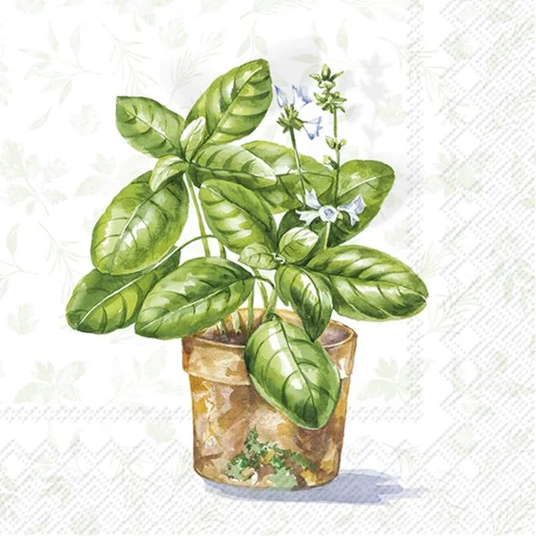 Guardanapo Unitario para Decoupage - AROMATIC HERBS