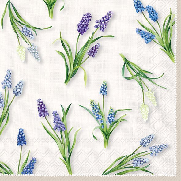 PRÉ VENDA - Guardanpo SPRING MUSCARI