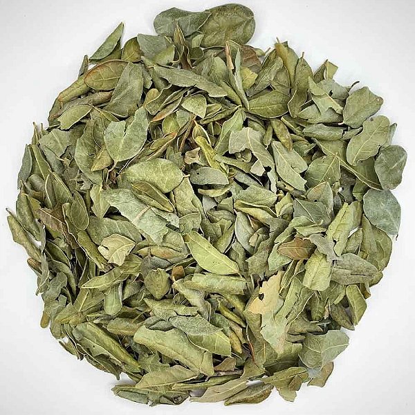 Chá Boldo Chlleno 200g