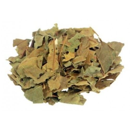 Chá Abacateiro Folha 200gr