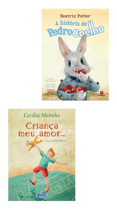 PARADIDÁTICOS  3 ANO FUNDAMENTAL