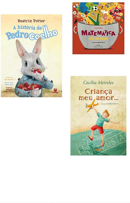 PARADIDÁTICOS 3 ANO FUNDAMENTAL