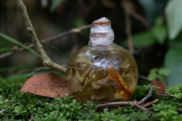 Óleo da Alegria - 100ml