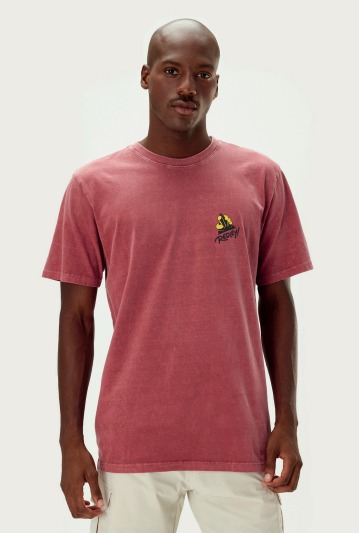 REDLEY T-SHIRT ESTONADA NO PEITO VERMELHO VINHO - 93