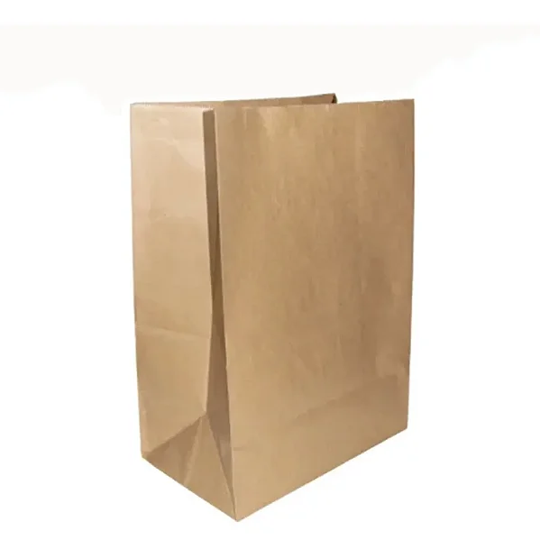 SACO SOS PARDO LISO GG 30X20X36CM C/50 UNIDADES